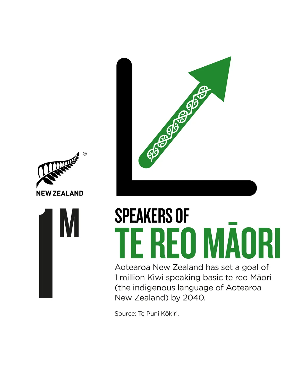 NZStory_Infographic_224347_Maori 1M Speakers_4x5