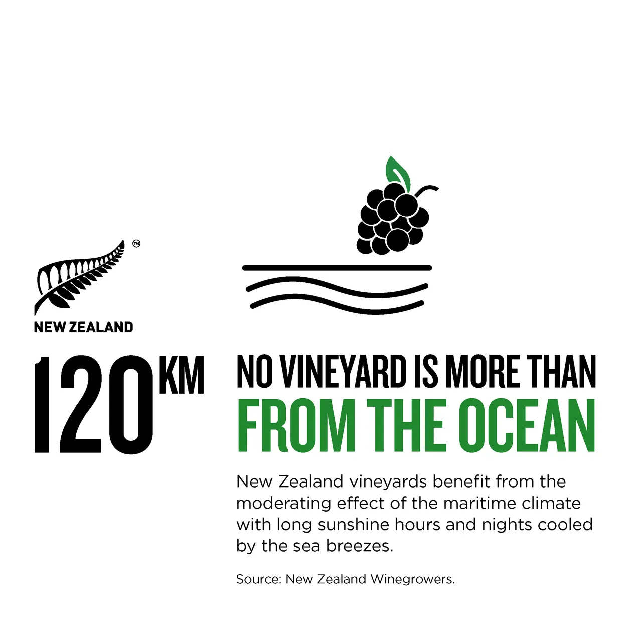 NZ Story_Infographic_MWC_WineMaritimeInfluence_1x1