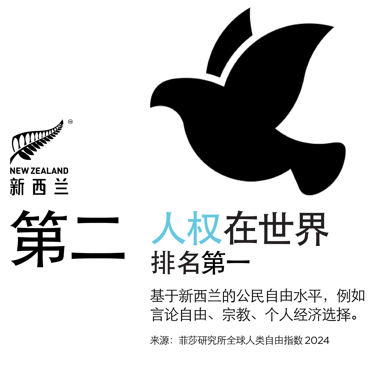 NZStory_Infographic_77281_HumanRights_CHN