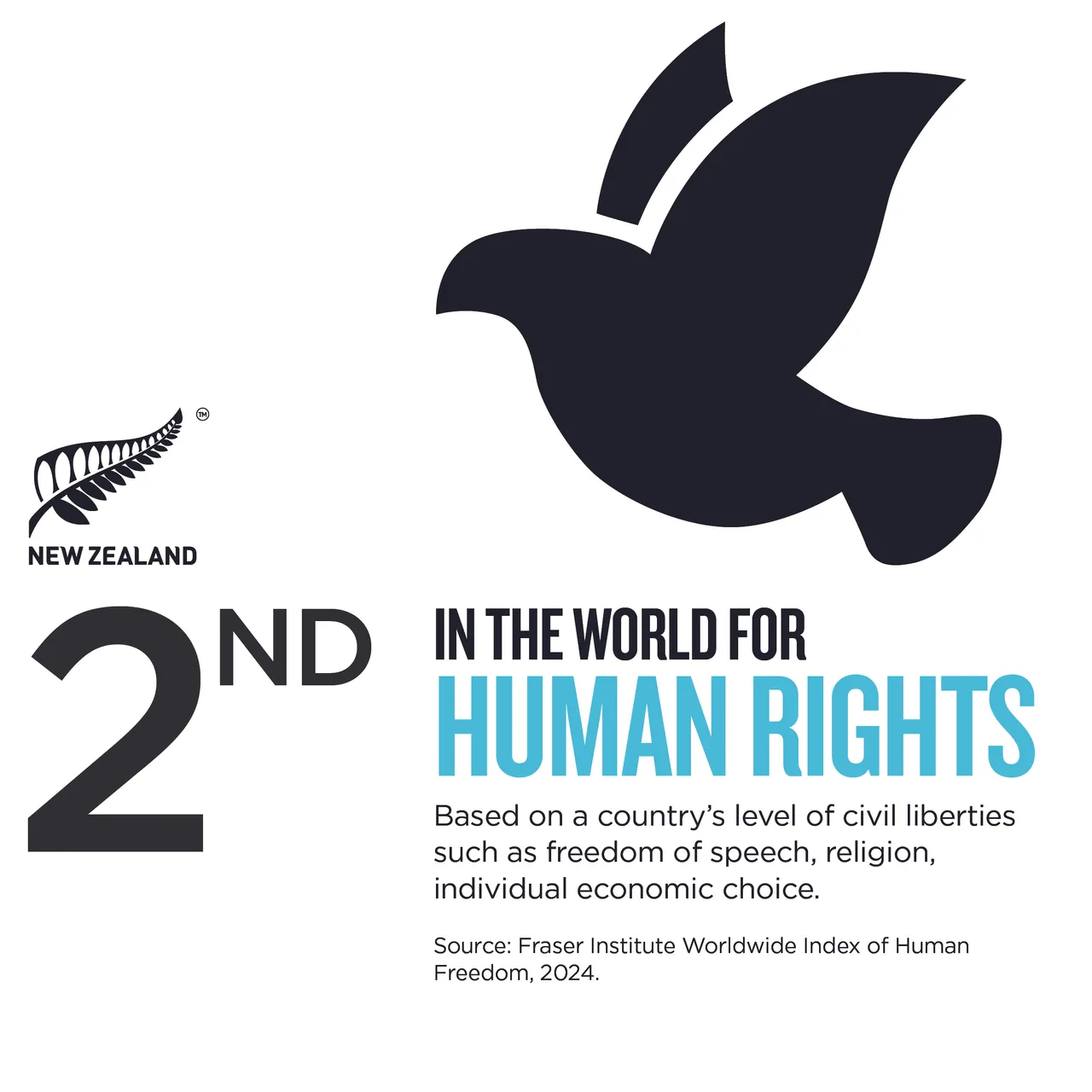 NZStory_Infographic_77281_Human Rights