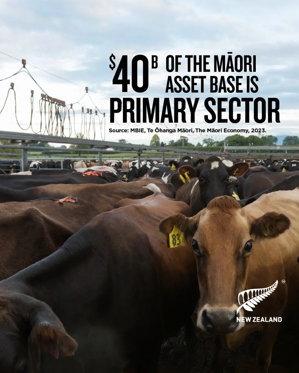 NZStory_Infographic_Māori Primary Sector 4x5