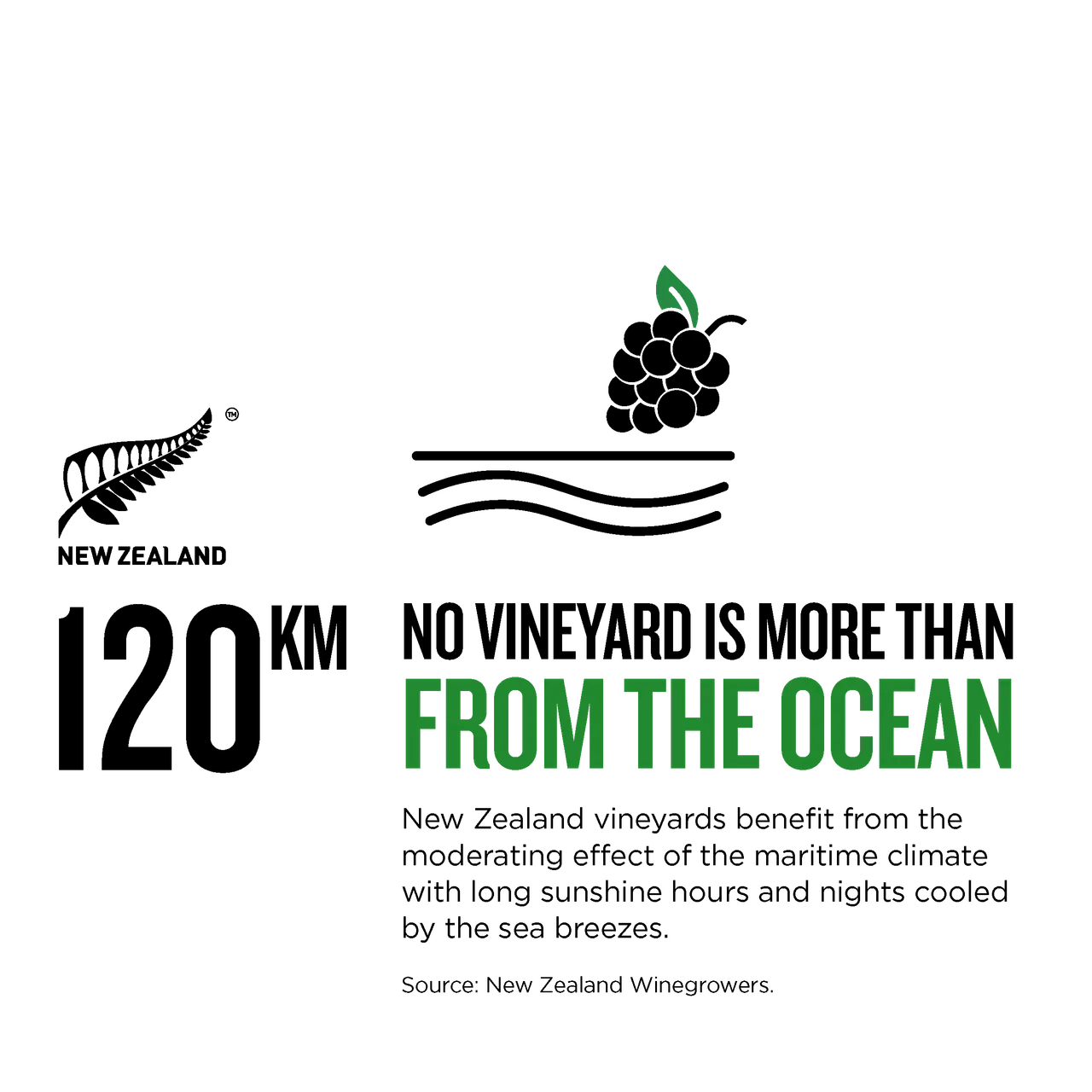 NZ Story_Infographic_MWC_WineMaritimeInfluence_1x1