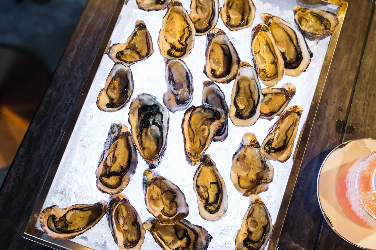 Oysters on ice