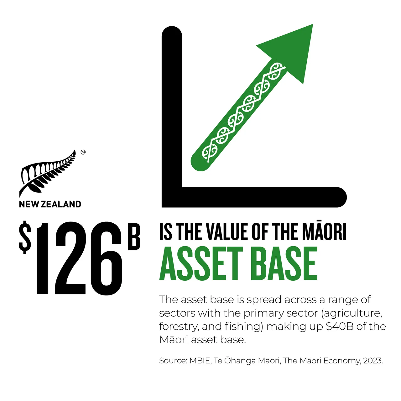 NZStory_Infographic_77308_MaoriAssetBase_1x1