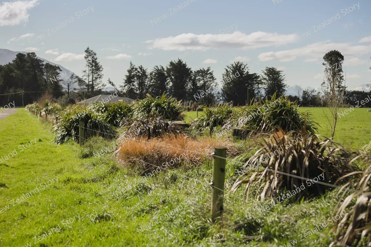NZ Story_FON_018_Methven_9054