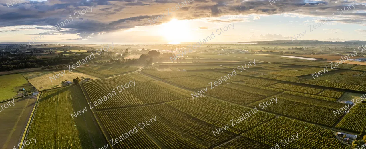 Agritech2025-Hastings-1043