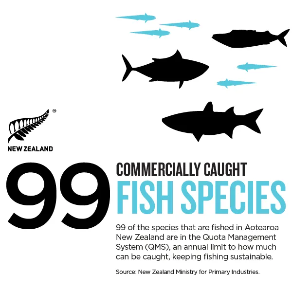 NZStory_Infographic_77431_Fish Species