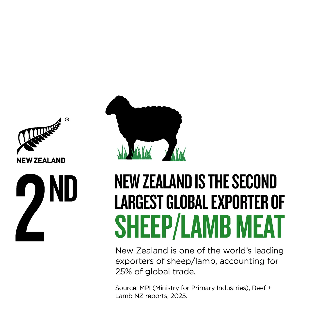 NZ Story_Infographic_MWC_SheepLambExports_1x1