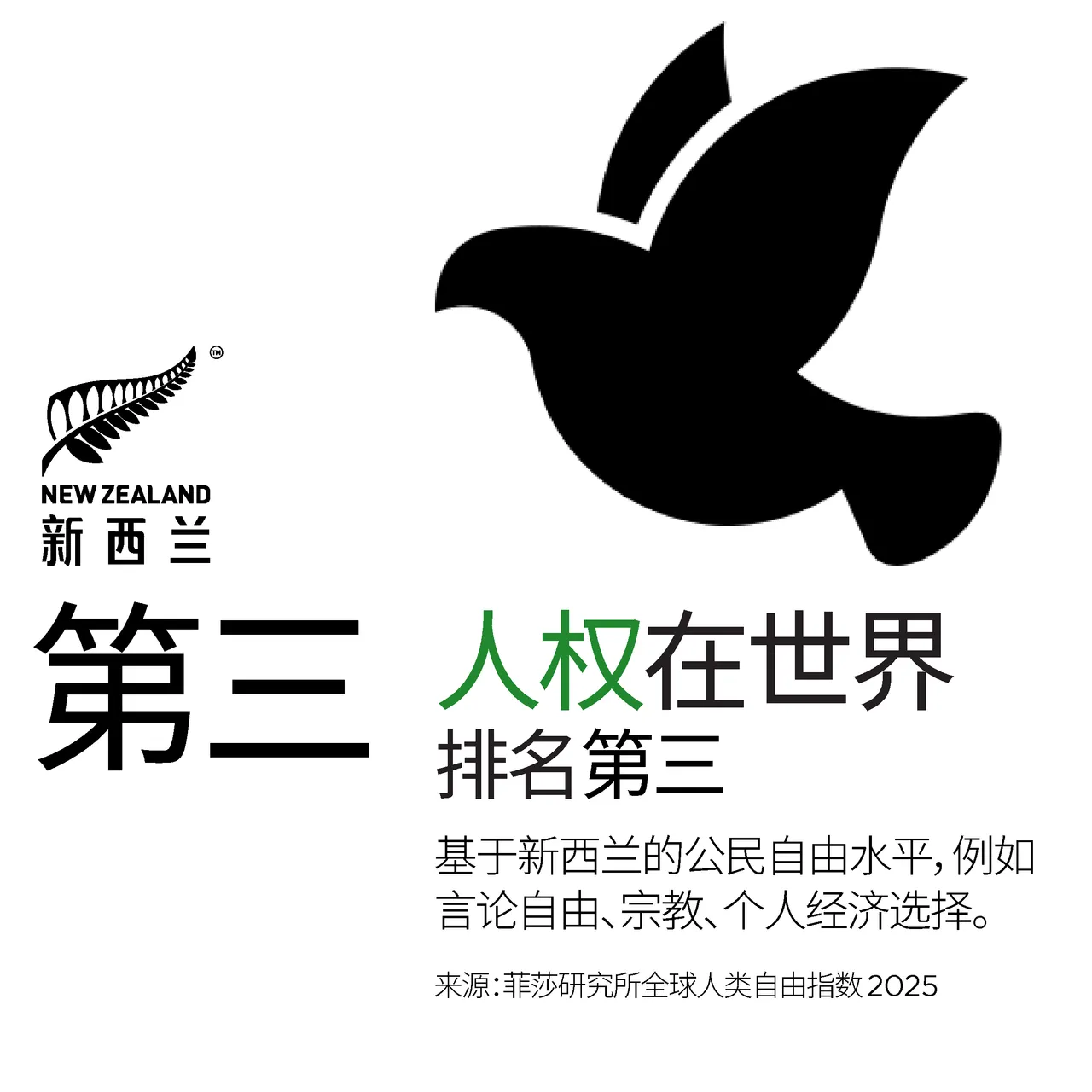 NZStory_Infographic_77281_HumanRights_CHN_1x1