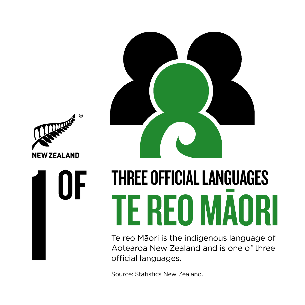 NZStory_Infographic_224350_Maori 1of3 Languages_1x1