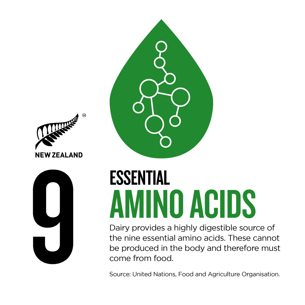 NZStory_Infographic_483486_Dairy Amino Acids_1x1