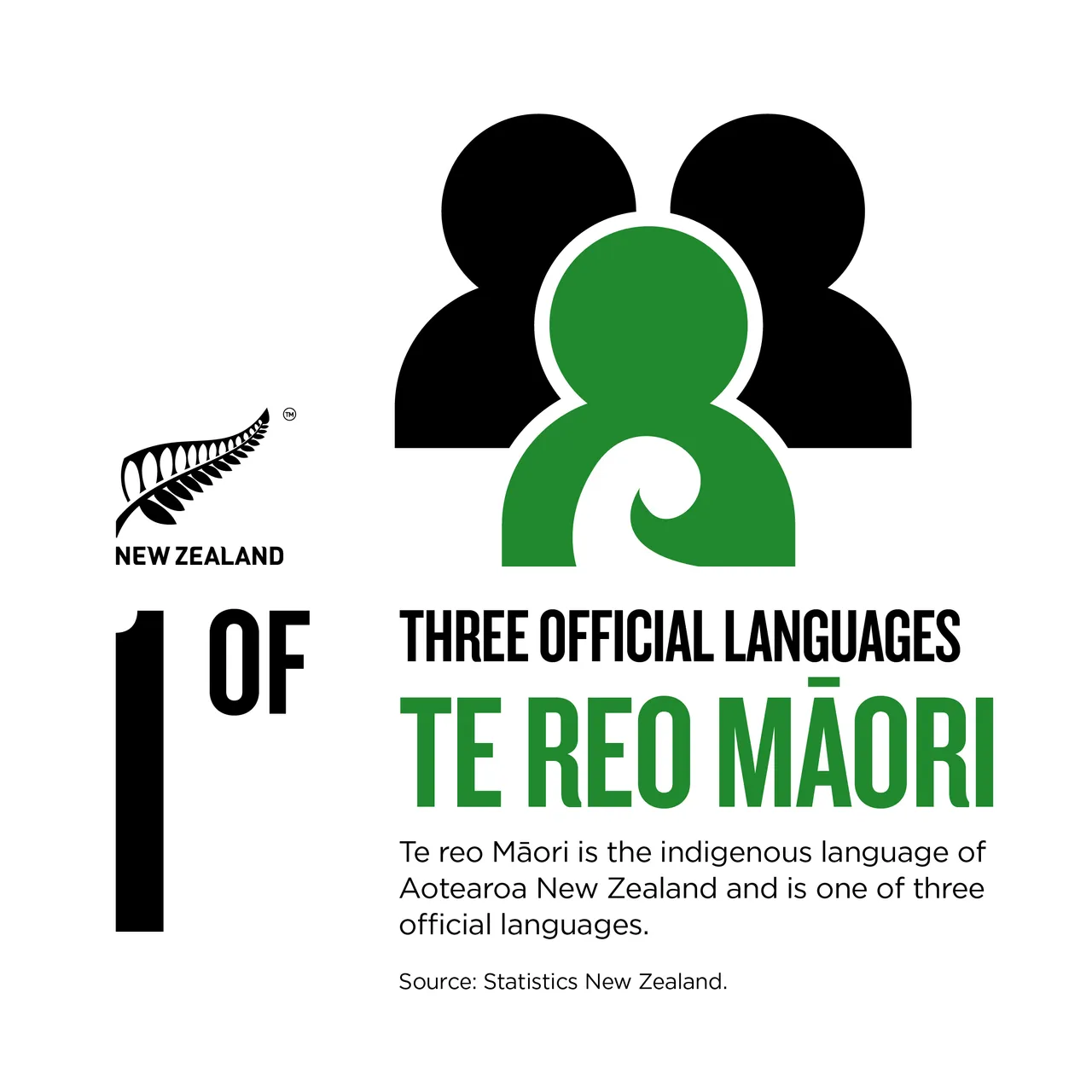 NZStory_Infographic_224350_Maori 1of3 Languages_1x1