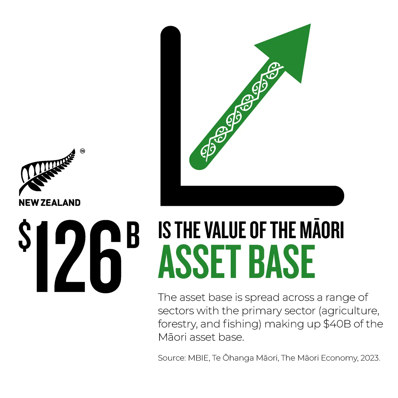 NZStory_Infographic_77308_MaoriAssetBase_1x1