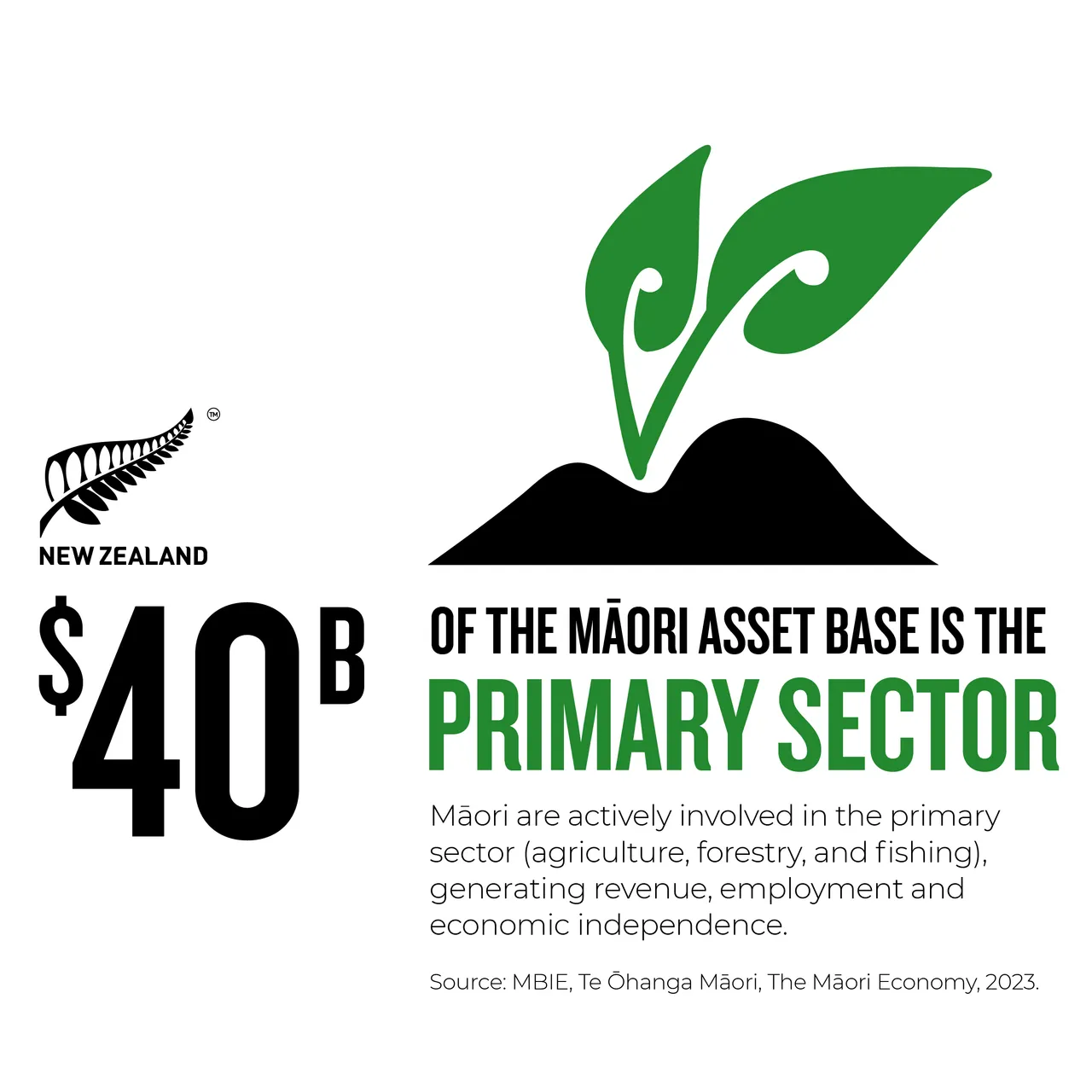 NZStory_Infographic_77602_Maori_Primary_Sector_1x1