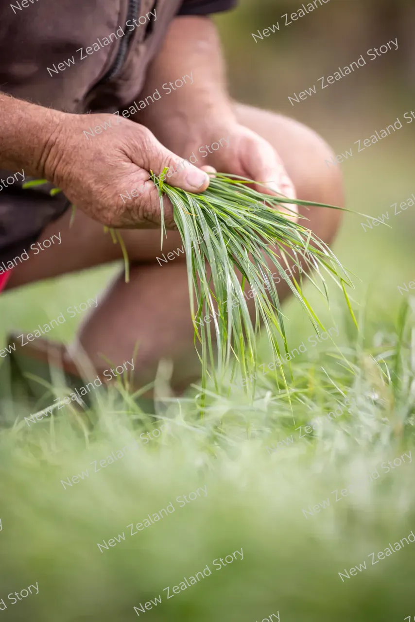 Agritech2025-Halo-2088