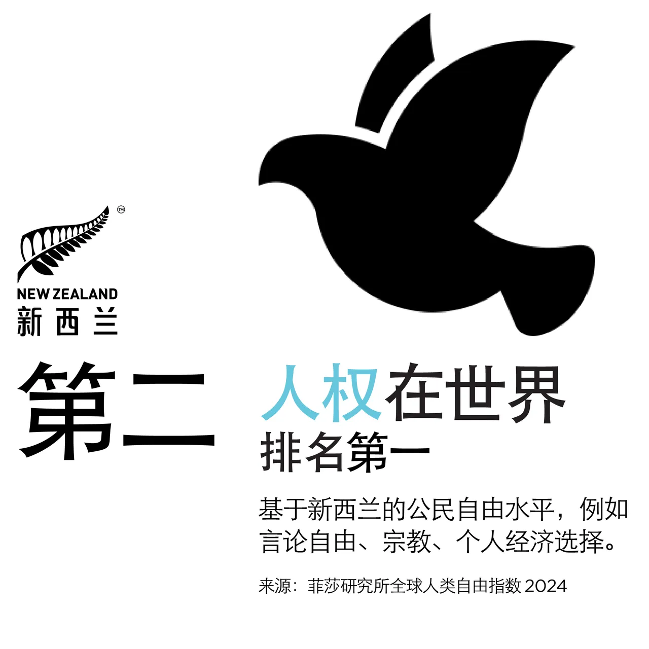 NZStory_Infographic_77281_HumanRights_CHN