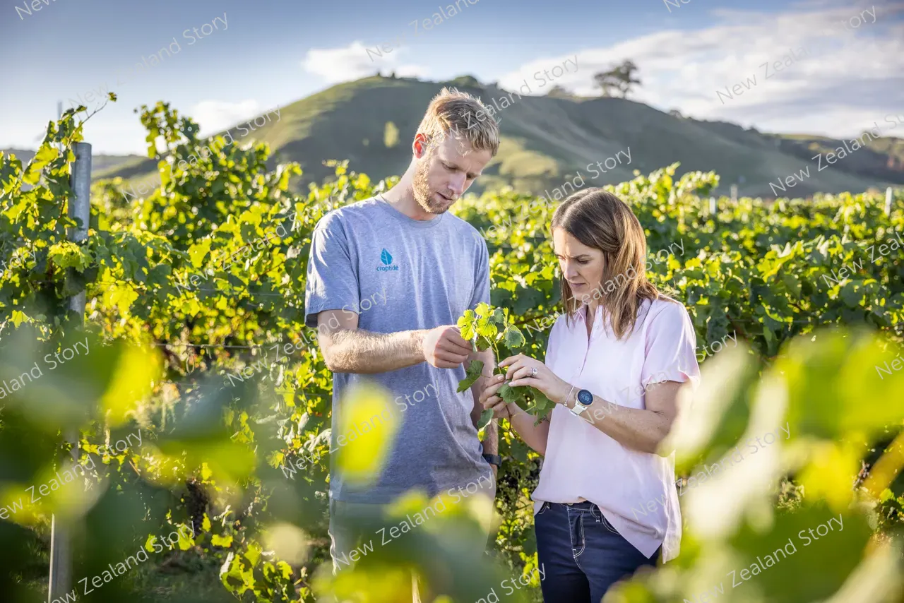 Agritech2025-Croptide-vineyard-3096