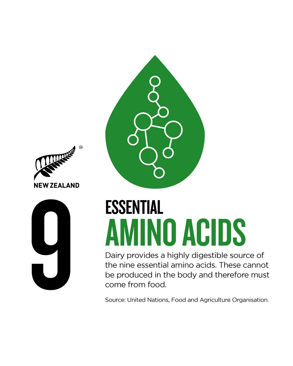 NZStory_Infographic_483486_Dairy Amino Acids_4x5