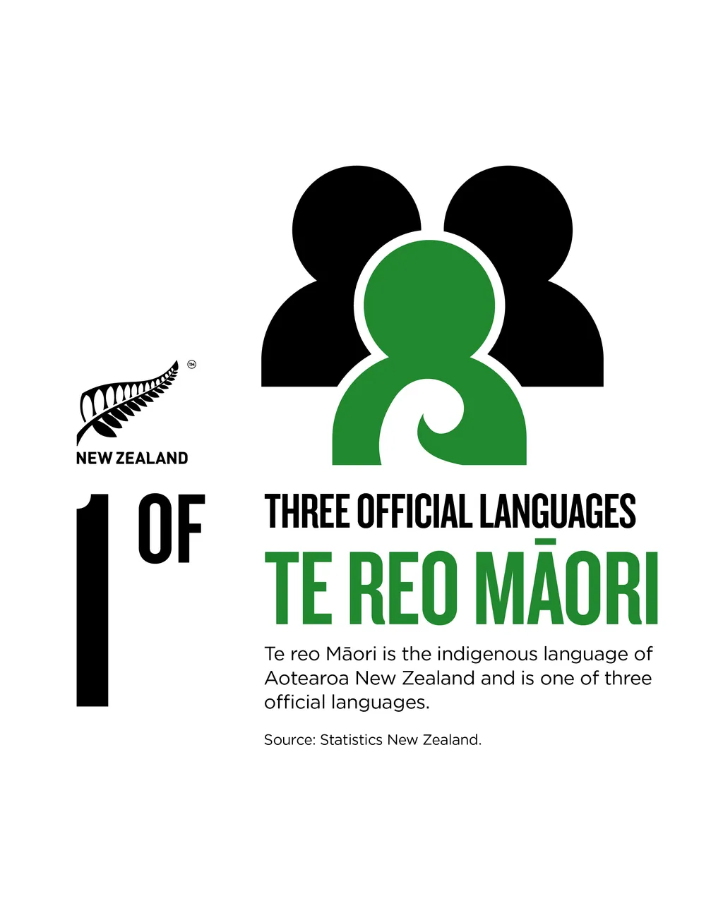 NZStory_Infographic_224350_Maori 1of3 Languages_4x5