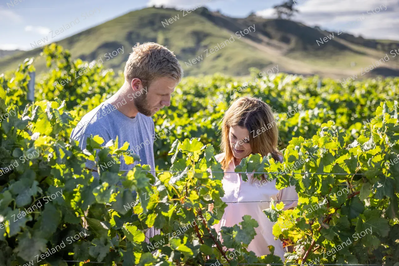 Agritech2025-Croptide-vineyard-3032