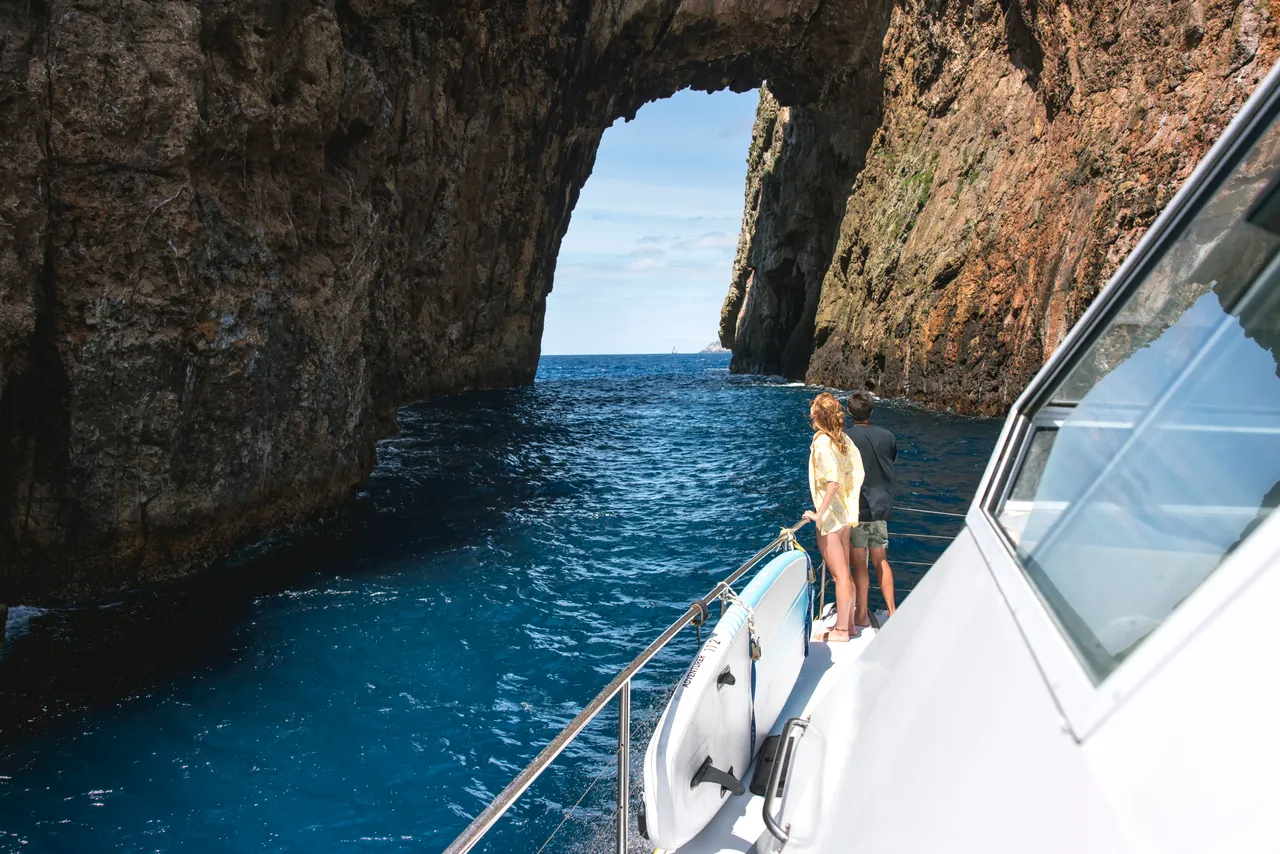 Poor Knights Islands, Northland