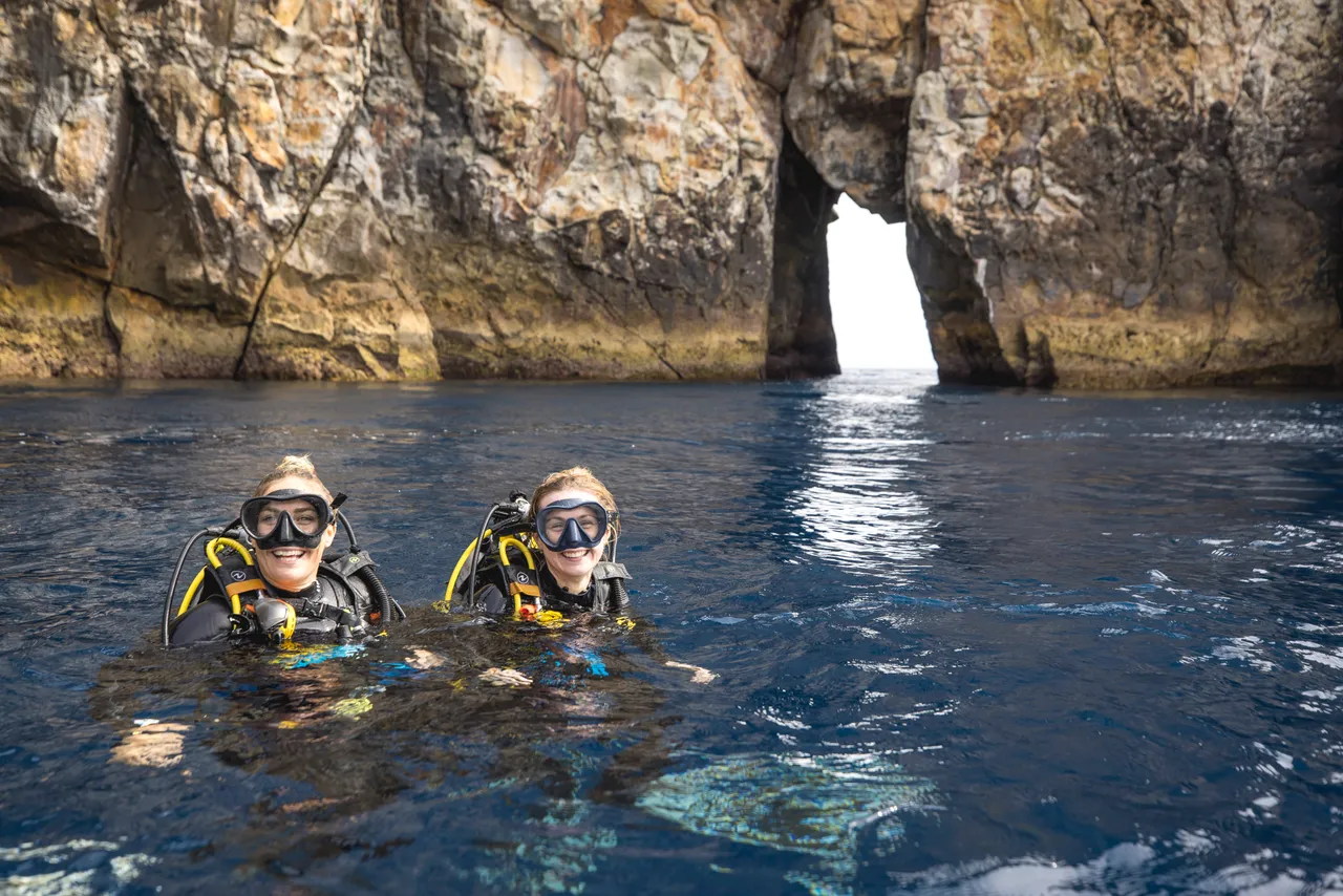 Poor Knights Islands, Northland
