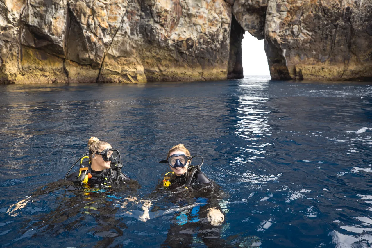 Poor Knights Islands, Northland