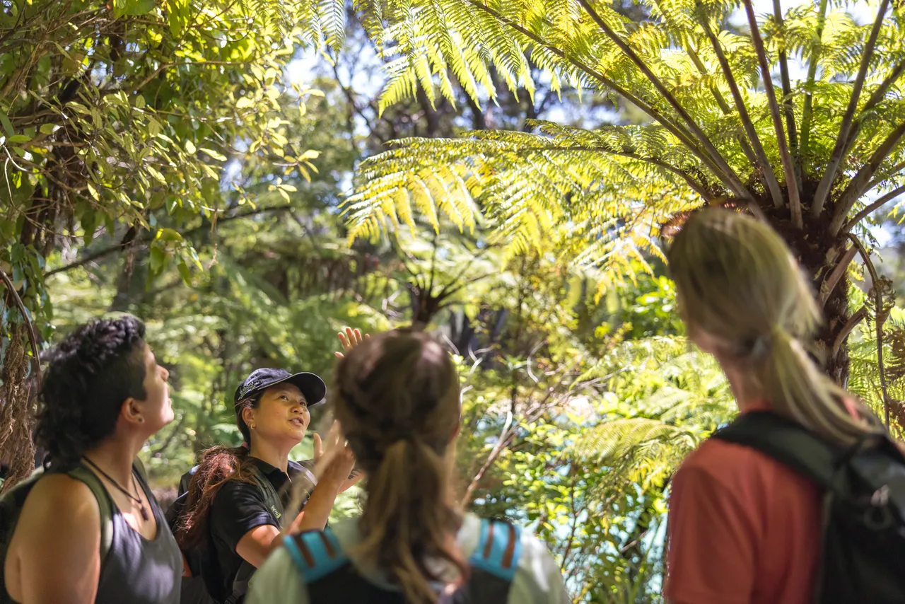 Abel Tasman National Park, Nelson