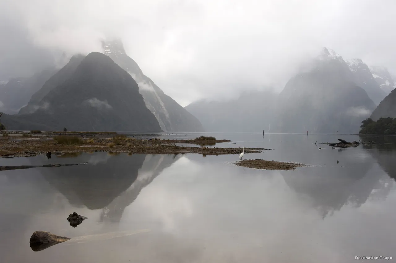 Milford Sound, Fiordland