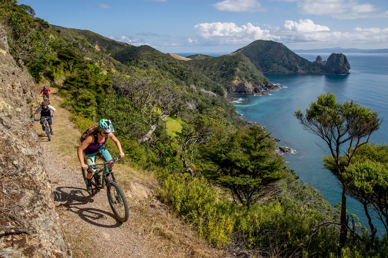 Fletcher Bay - The Coromandel