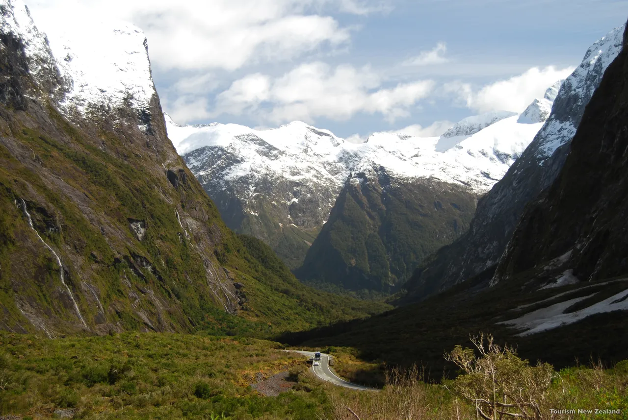 Cleddau Valley - Fiordland