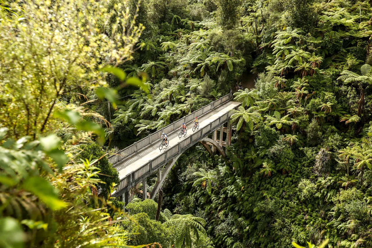 Whanganui National Park, Whanganui