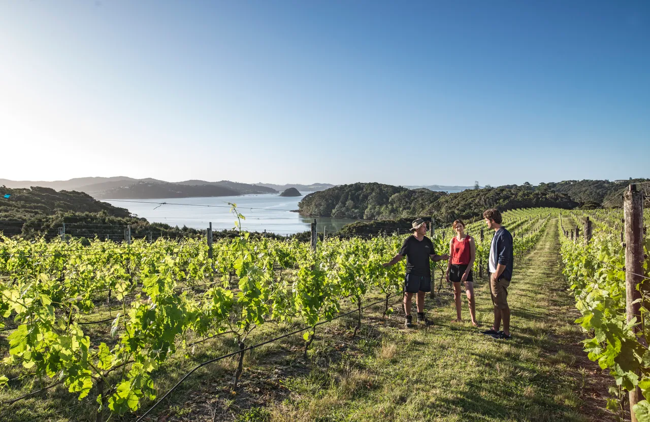 Bay of Islands - Northland