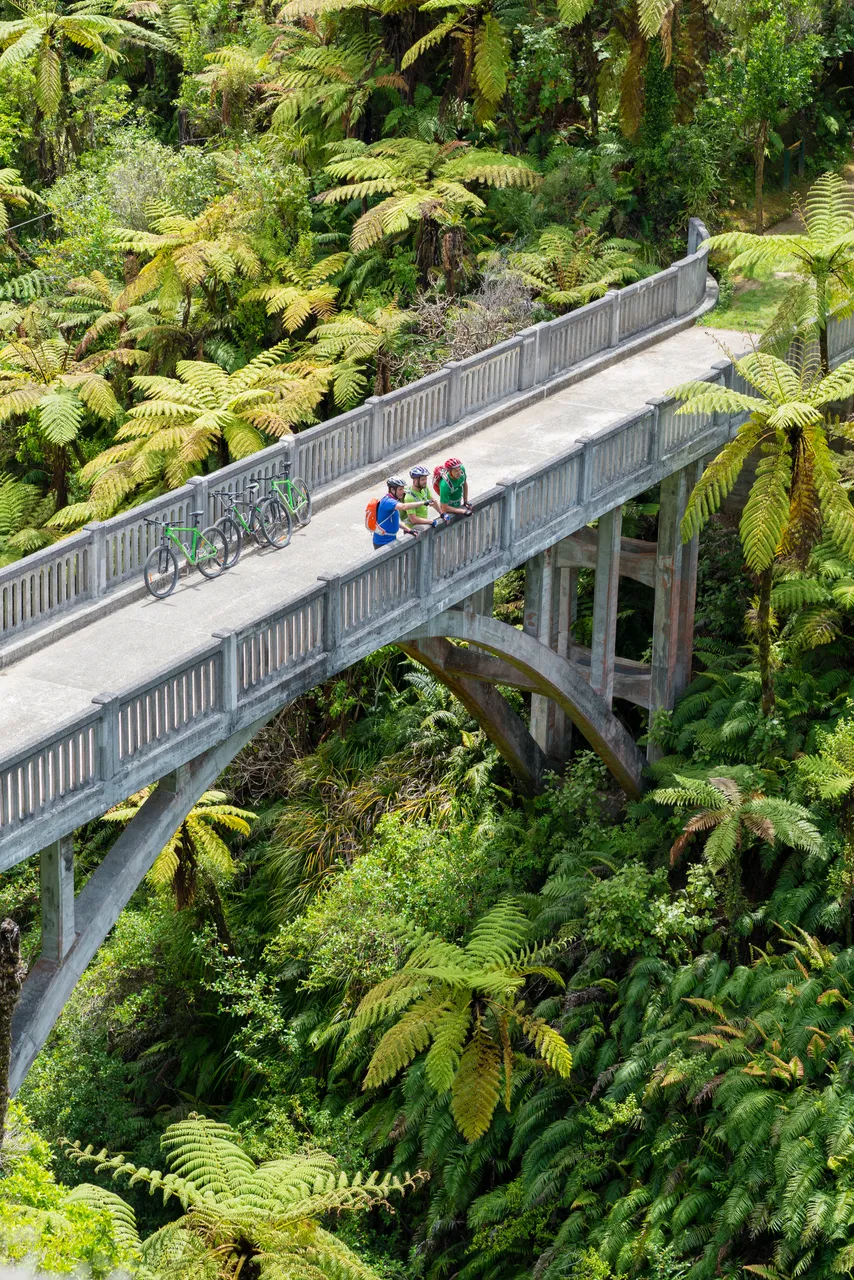 Whanganui National Park, Whanganui