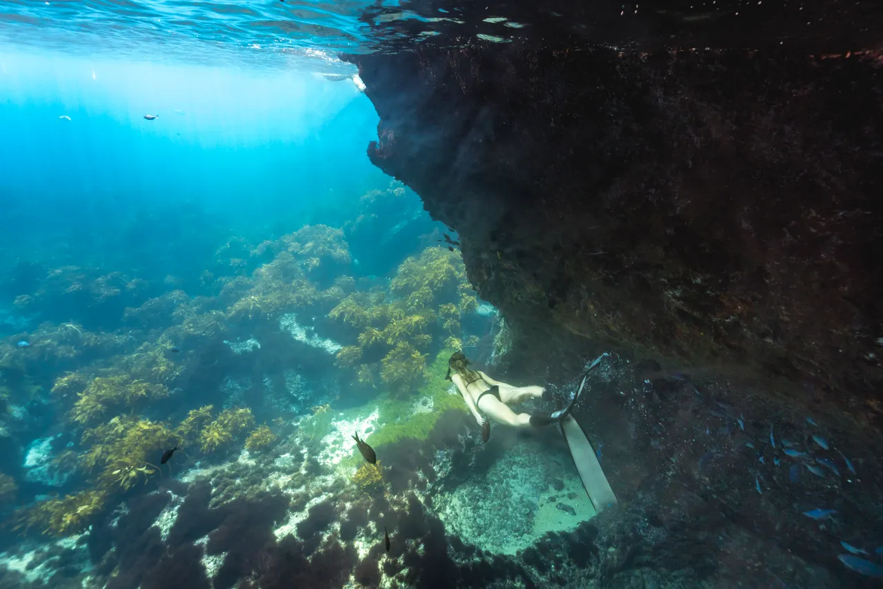 Poor Knights Islands, Northland