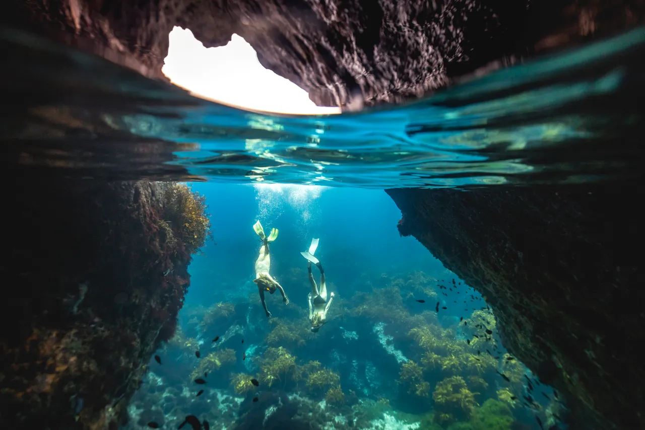 Poor Knights Islands, Northland