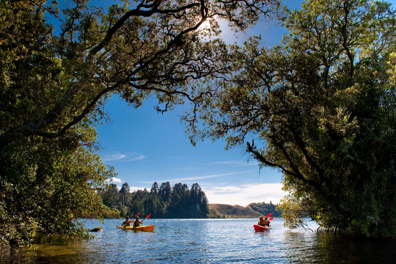 Waimarino Adventure Park - Bay of Plenty