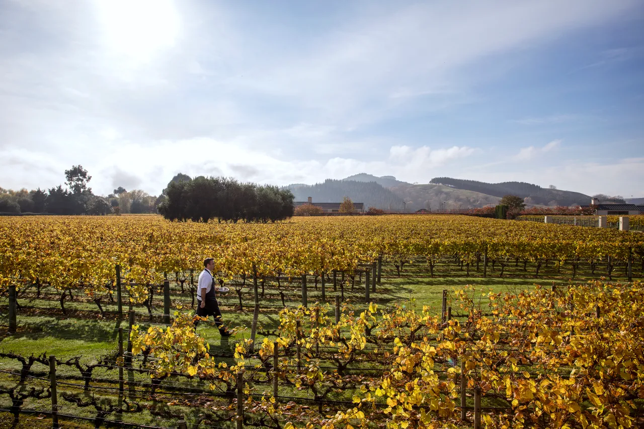 Craggy Range - Hawkes Bay