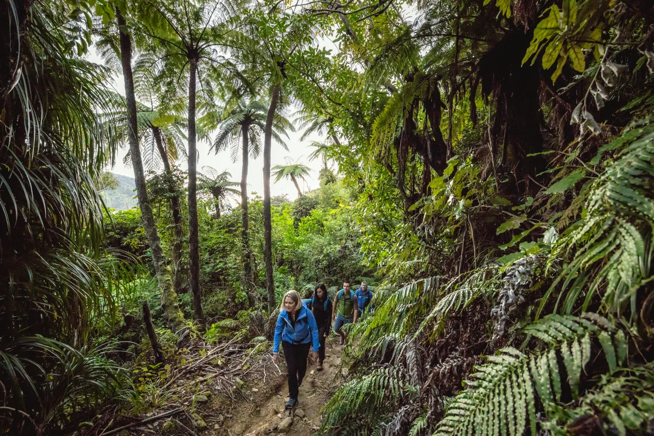Queen Charlotte Track - Marlborough