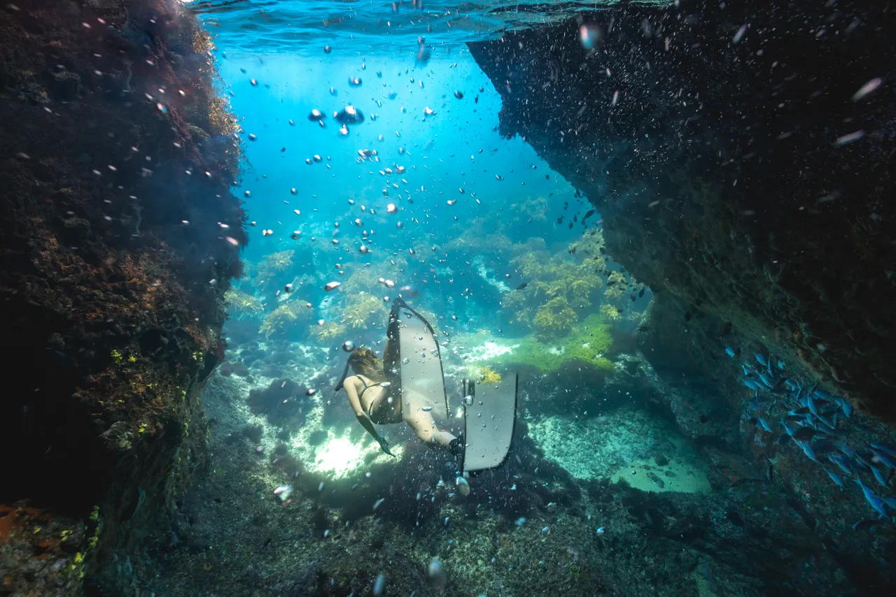 Subtropical Wonders: My Review of Diving Jacques Cousteau’s Favorite Poor Knights Islands
