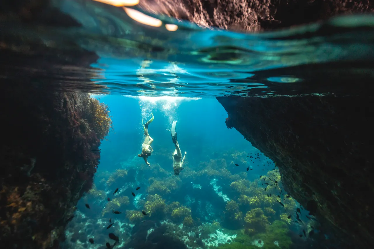 Poor Knights Islands, Northland