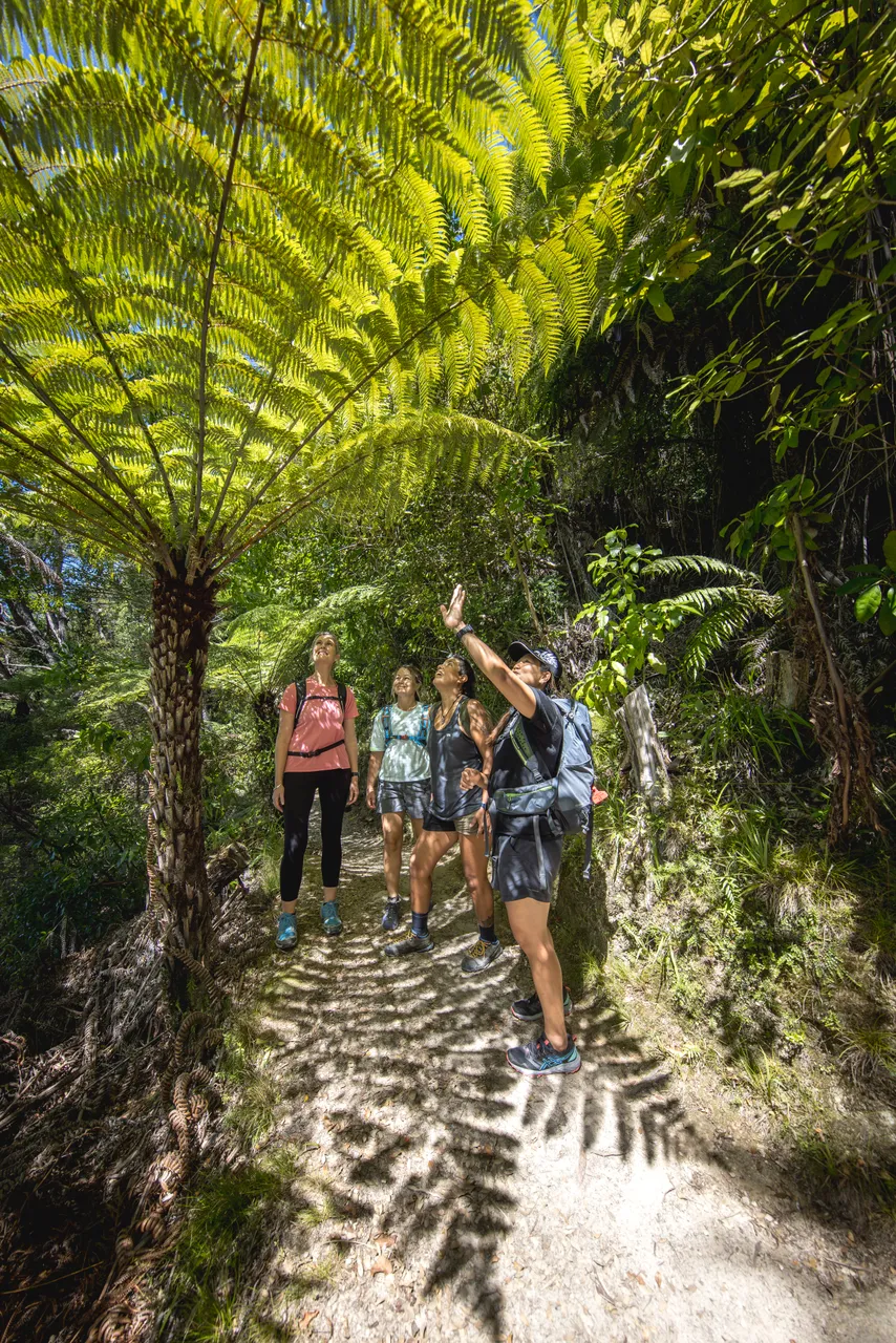 Abel Tasman National Park, Nelson