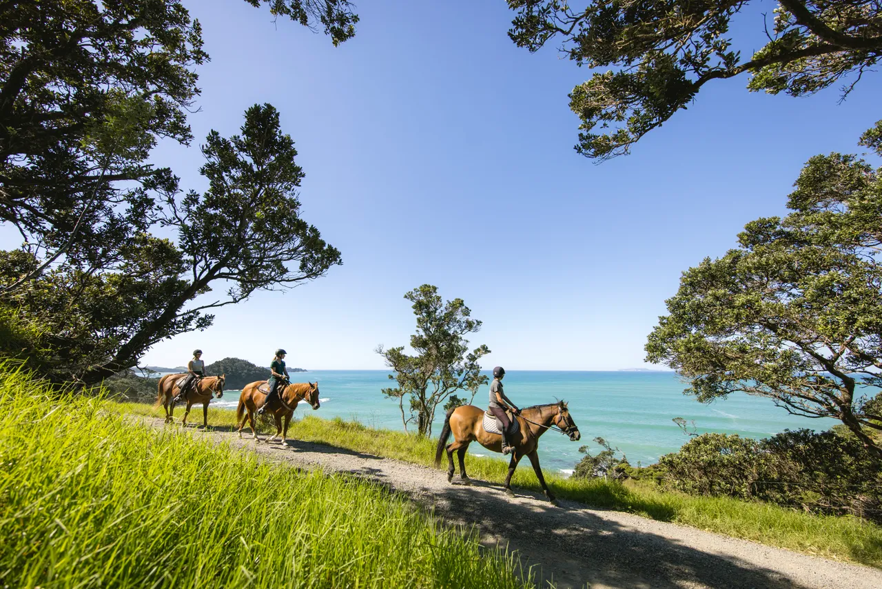 Matapōuri, Northland