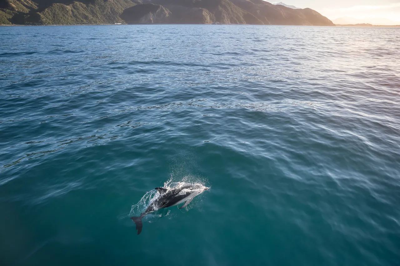 Kaikoura, Canterbury