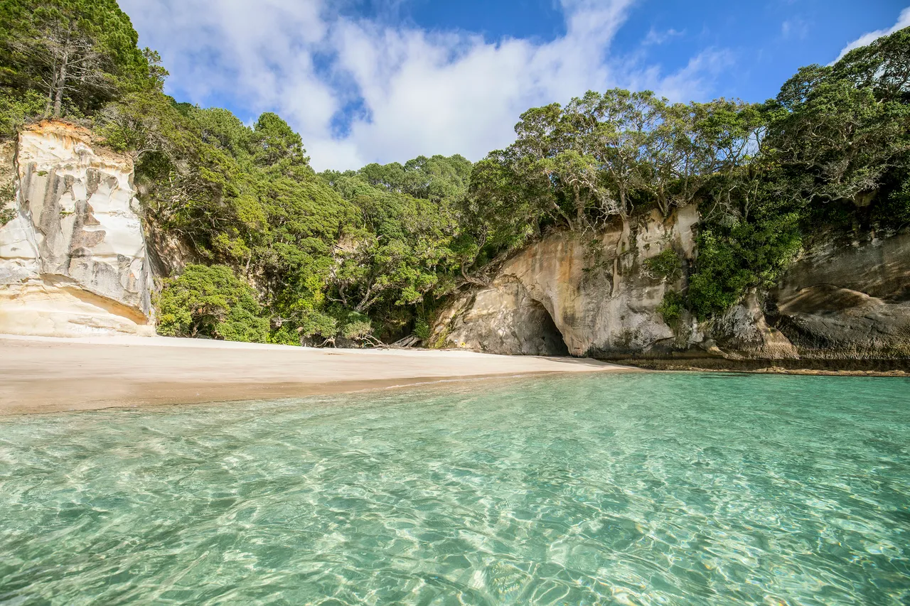 Cathedral Cove. Coromandel