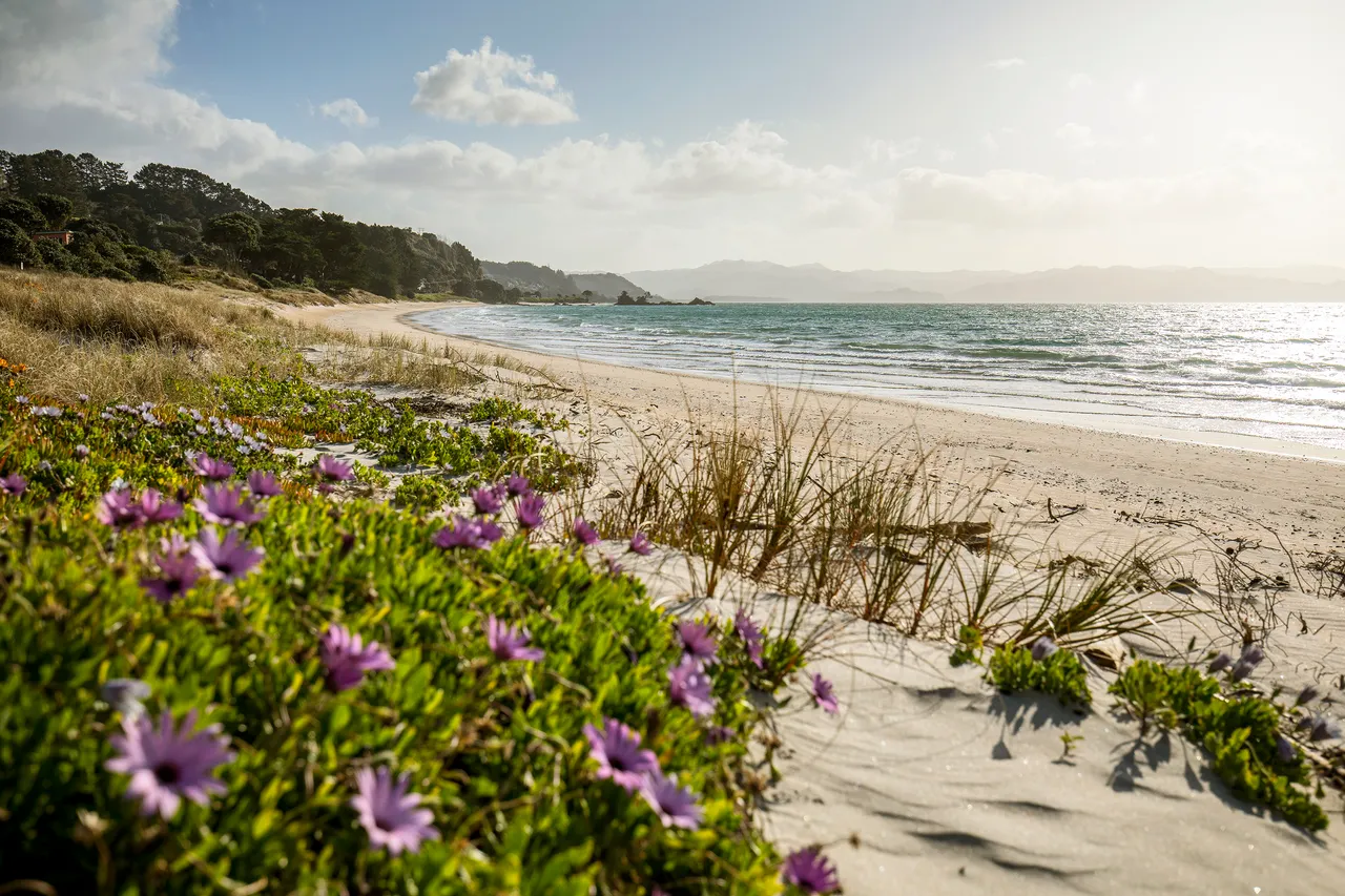 Kūaotunu - The Coromandel