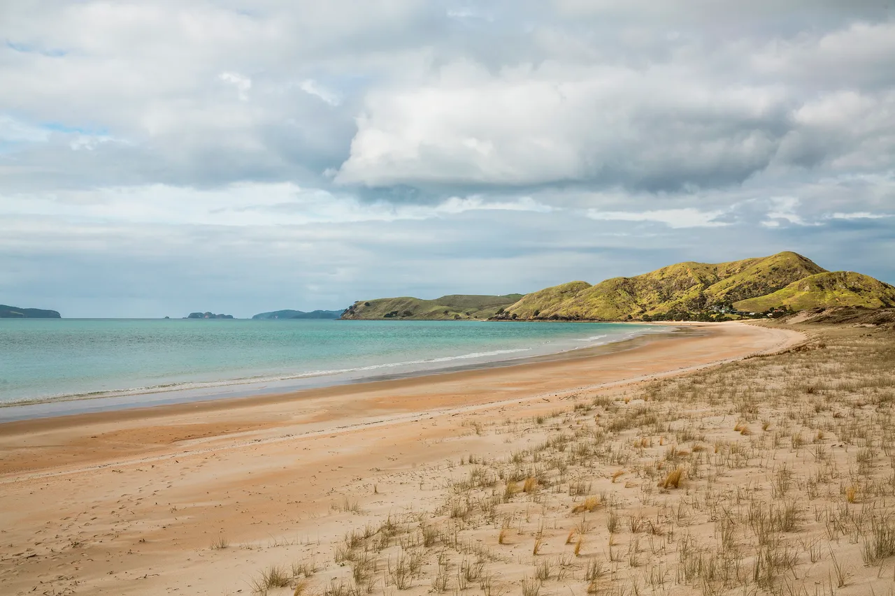 Wharekaho - The Coromandel