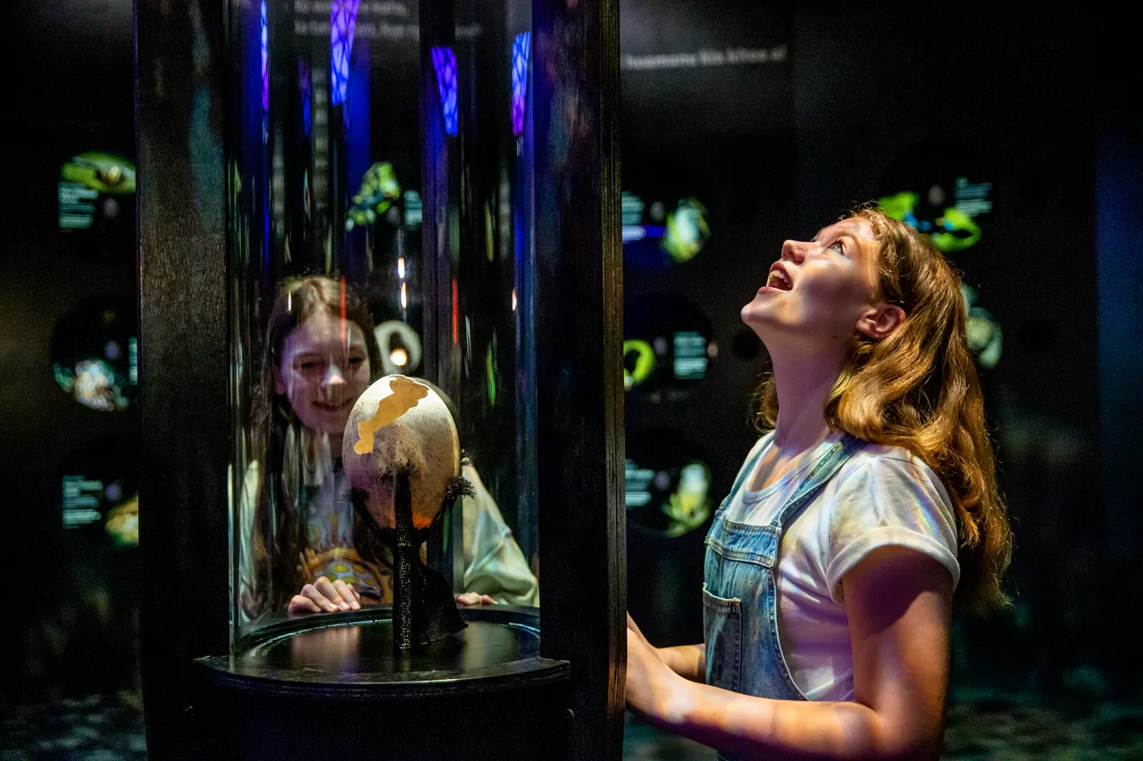 Te Papa - Wellington