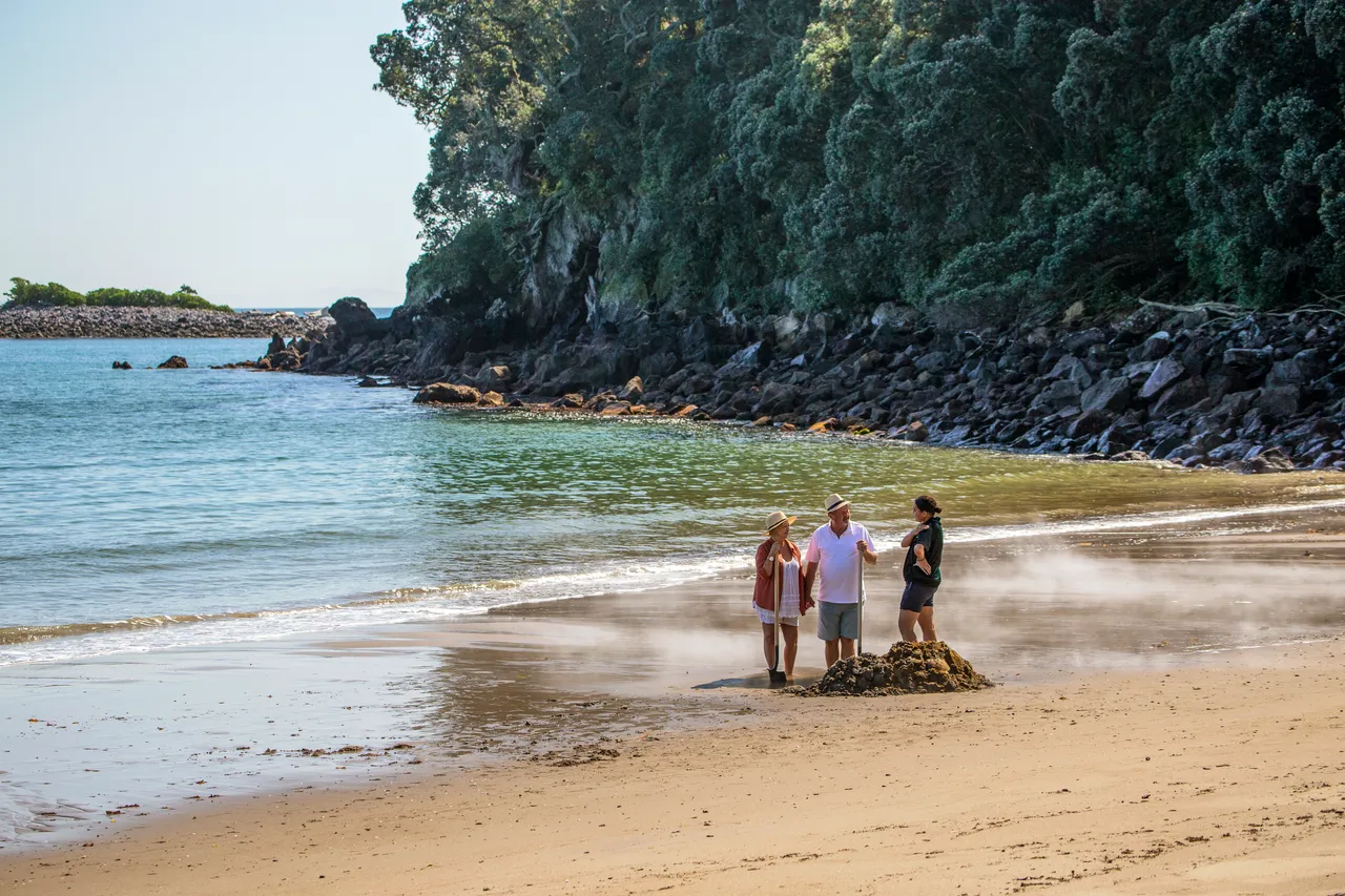 Moutohorā Island - Bay of Plenty