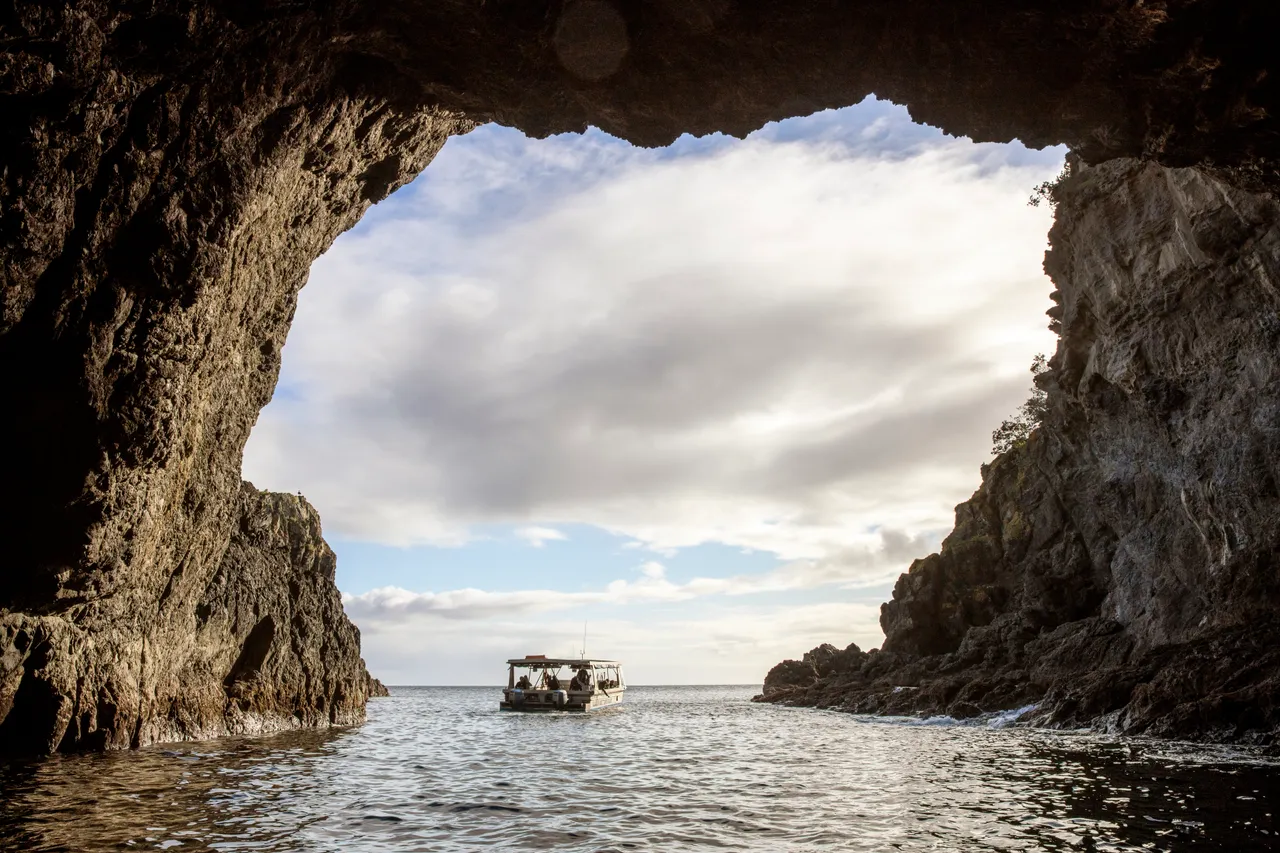 Goat Island - Auckland